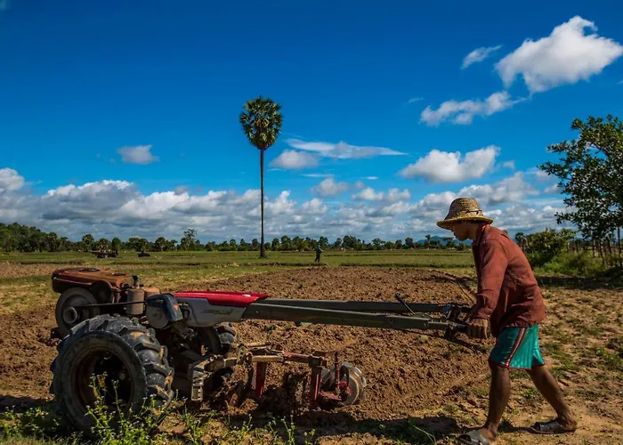 Chansor 7 By Siem Reap Homesteading * Phumi Trach Pok