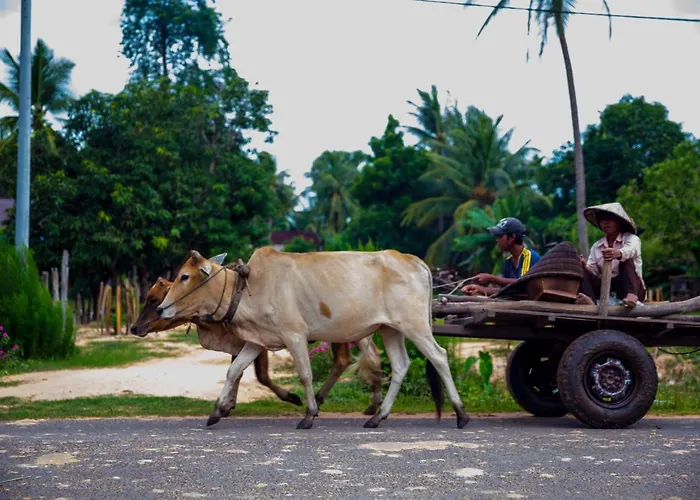 Chansor 7 By Siem Reap Homesteading * Phumi Trach Pok