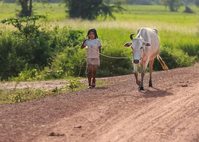 Chansor 7 By Siem Reap Homesteading Phumi Trach Pok