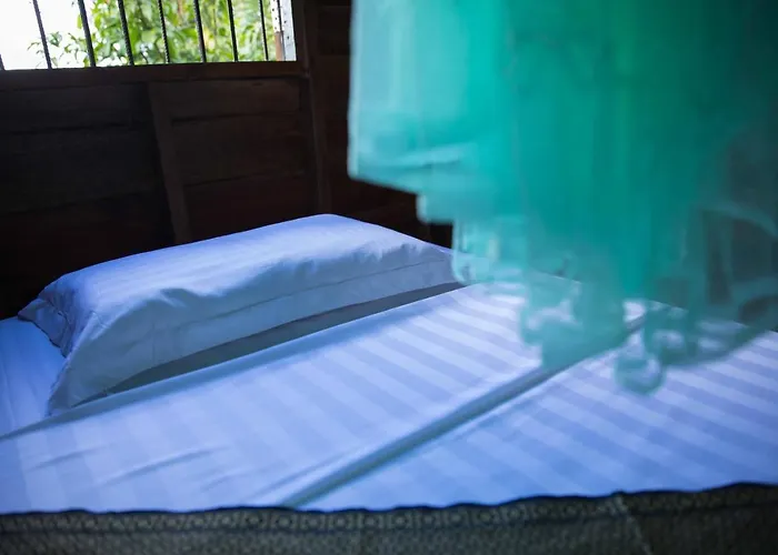 Chansor 7 By Siem Reap Homesteading *