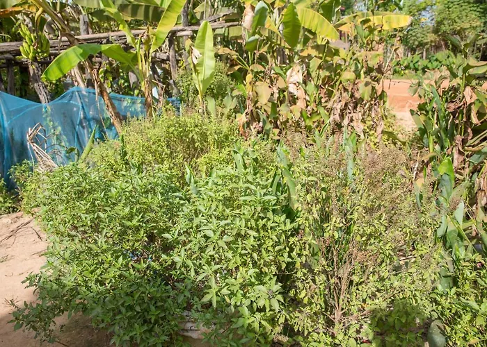 Séjour chez l'habitant Chansor 7 By Siem Reap Homesteading