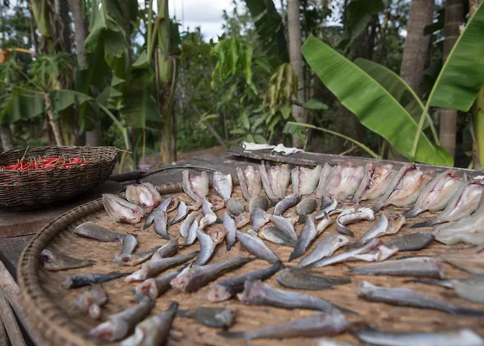 Chansor 7 By Siem Reap Homesteading * Phumi Trach Pok