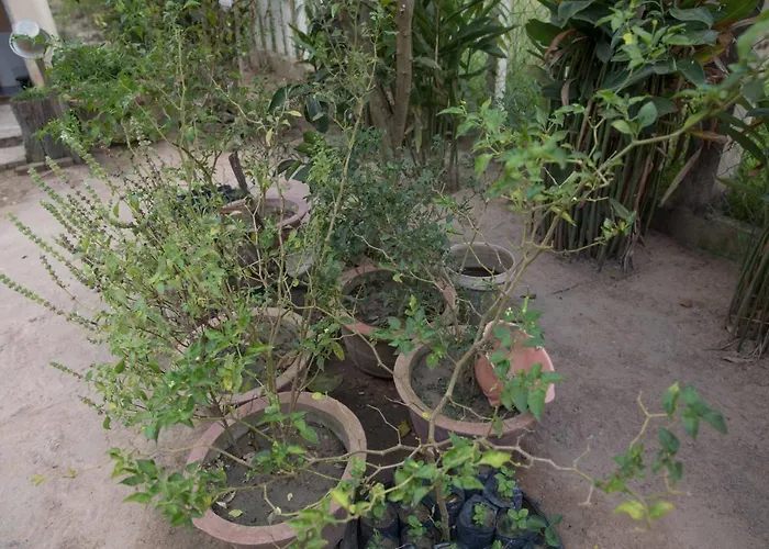 Chansor 7 By Siem Reap Homesteading *